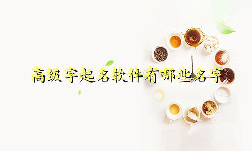 高级字起名软件有哪些名字