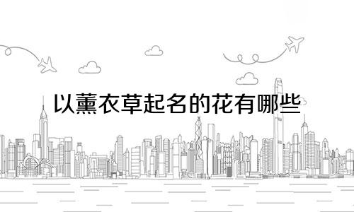 以薰衣草起名的花有哪些
