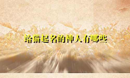 给猫起名的神人有哪些