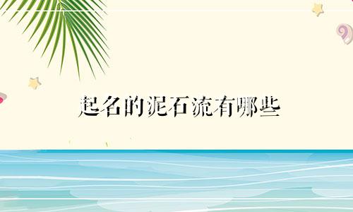 起名的泥石流有哪些