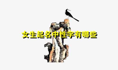 女生起名中性字有哪些