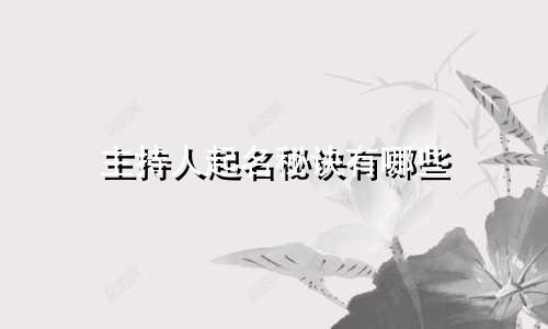 主持人起名秘诀有哪些