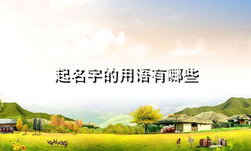 起名字的用语有哪些