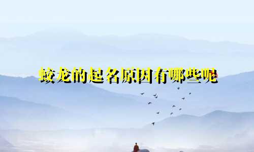 蛟龙的起名原因有哪些呢