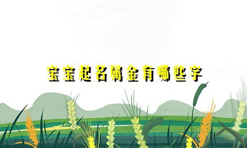 宝宝起名属金有哪些字