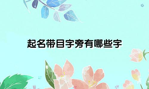 起名带目字旁有哪些字