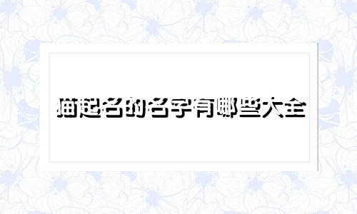 猫起名的名字有哪些大全