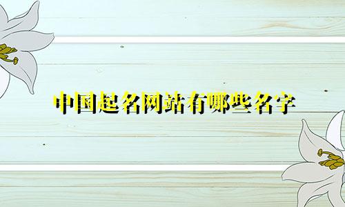 中国起名网站有哪些名字