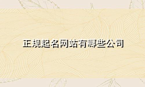 正规起名网站有哪些公司