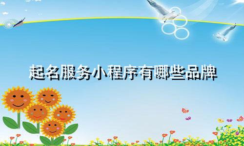 起名服务小程序有哪些品牌