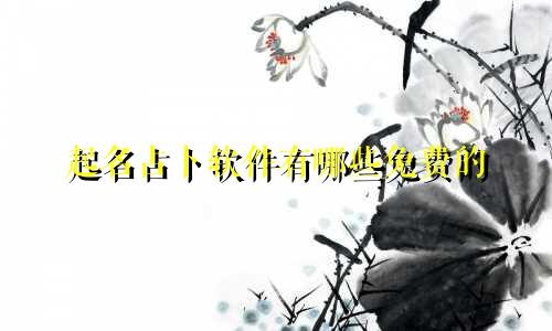起名占卜软件有哪些免费的