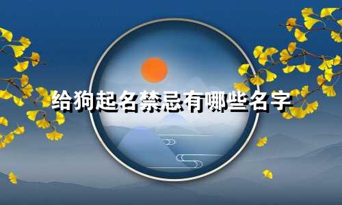 给狗起名禁忌有哪些名字