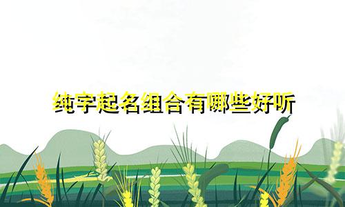 纯字起名组合有哪些好听
