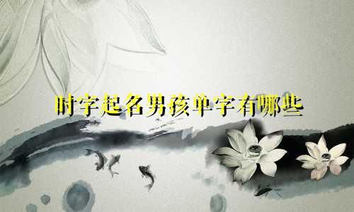 时字起名男孩单字有哪些