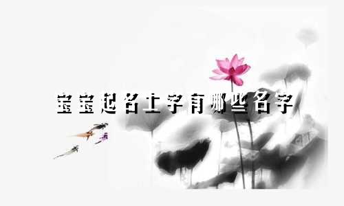 宝宝起名土字有哪些名字