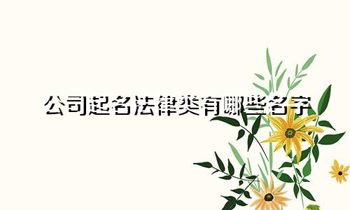 公司起名法律类有哪些名字