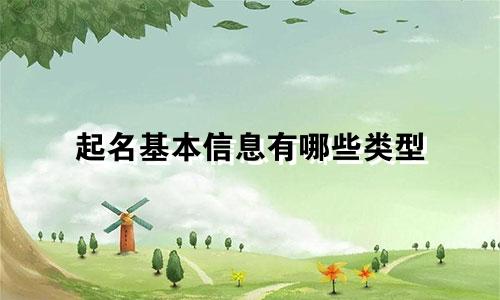 起名基本信息有哪些类型