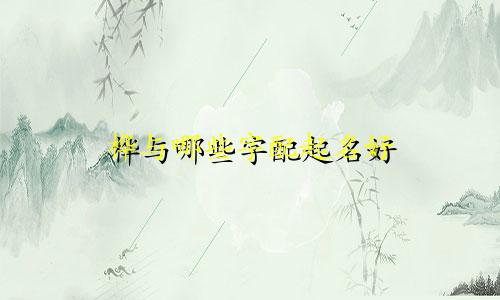 桦与哪些字配起名好