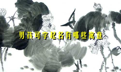 男孩可字起名有哪些寓意