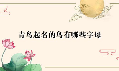青鸟起名的鸟有哪些字母