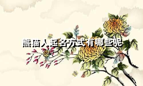 熊猫人起名方式有哪些呢