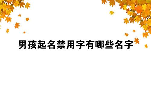 男孩起名禁用字有哪些名字