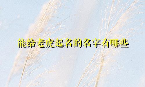 能给老虎起名的名字有哪些
