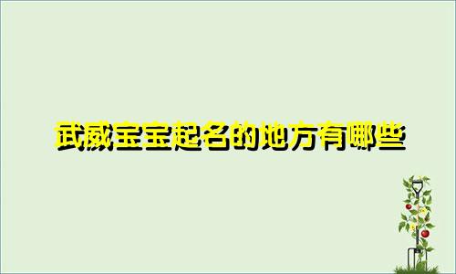 武威宝宝起名的地方有哪些