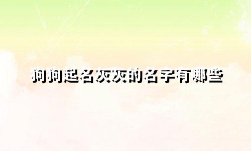 狗狗起名灰灰的名字有哪些