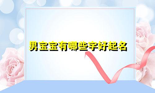 男宝宝有哪些字好起名