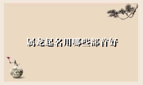 属龙起名用哪些部首好