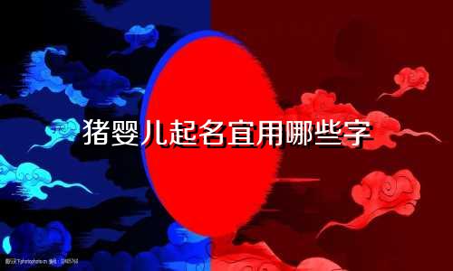 猪婴儿起名宜用哪些字