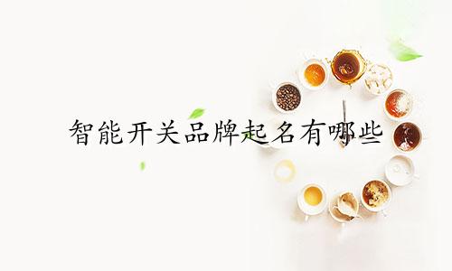 智能开关品牌起名有哪些
