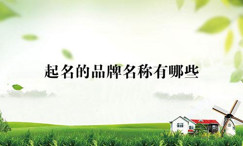 起名的品牌名称有哪些