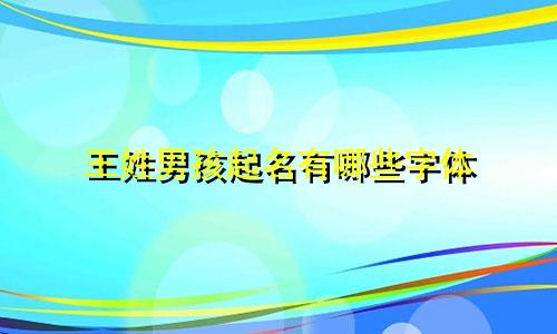 王姓男孩起名有哪些字体