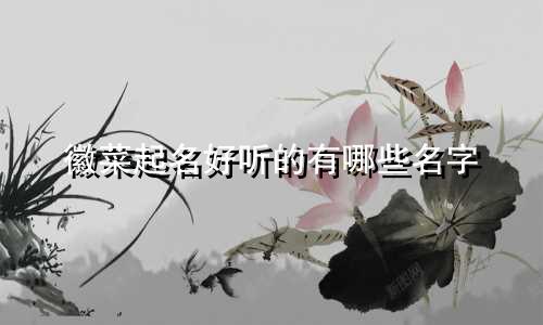 徽菜起名好听的有哪些名字