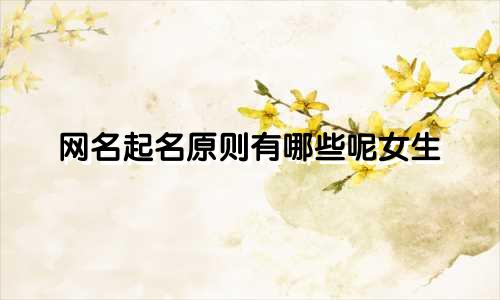 网名起名原则有哪些呢女生