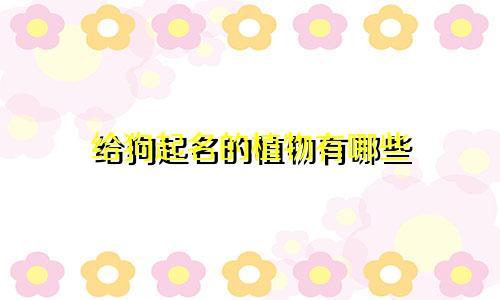 给狗起名的植物有哪些
