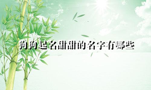 狗狗起名甜甜的名字有哪些