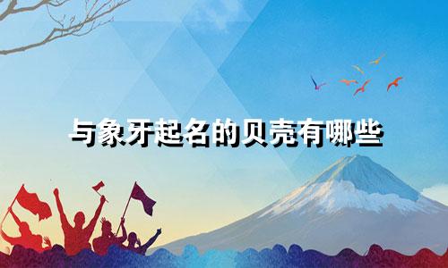 与象牙起名的贝壳有哪些