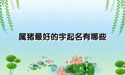 属猪最好的字起名有哪些