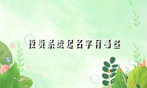 投资系统起名字有哪些