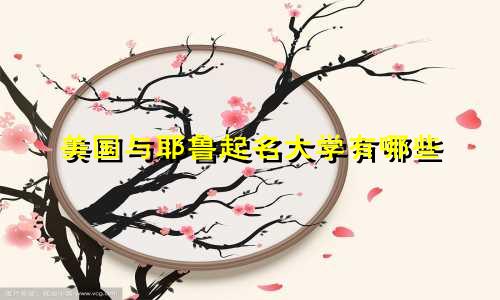 美国与耶鲁起名大学有哪些