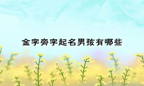 金字旁字起名男孩有哪些