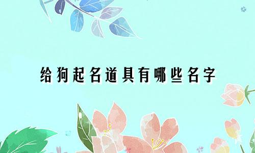 给狗起名道具有哪些名字