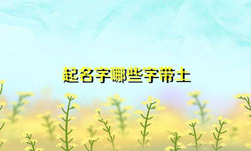 起名字哪些字带土