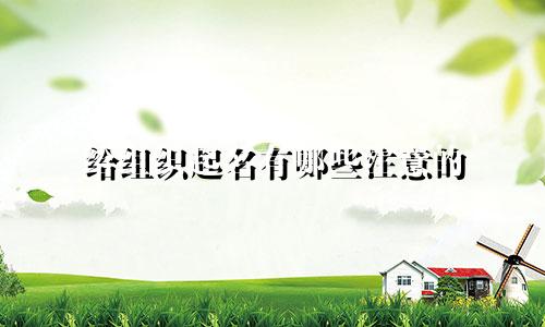 给组织起名有哪些注意的