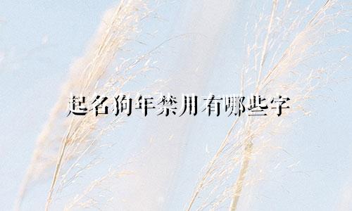 起名狗年禁用有哪些字