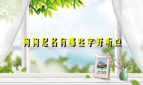 狗狗起名有哪些字好听点