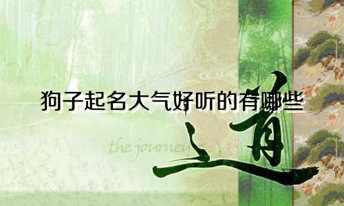 狗子起名大气好听的有哪些